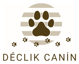 Déclik Canin